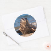 ベビー来が子どもの池に上陸する ラウンドシール (封筒)