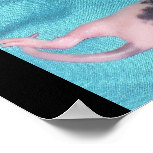 ベビー杭 ポスター (角)