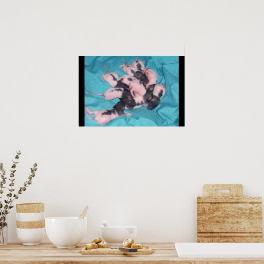 ベビー杭 ポスター (キッチン)