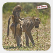 ベビー気に スクエアシール (正面)