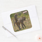 ベビー気に スクエアシール (封筒)