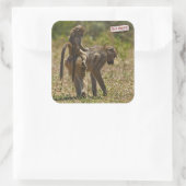 ベビー気に スクエアシール (バッグ)