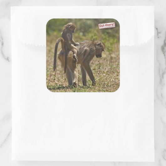 ベビー気に スクエアシール (バッグ)