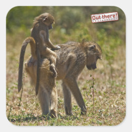 ベビー気に スクエアシール