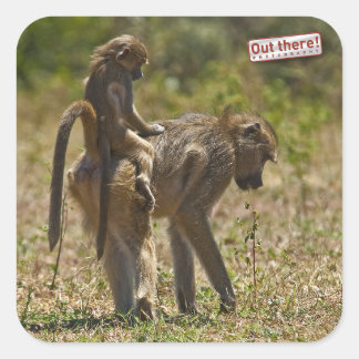 ベビー気に スクエアシール