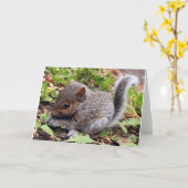 ベビー灰色 カード (黄色い花)