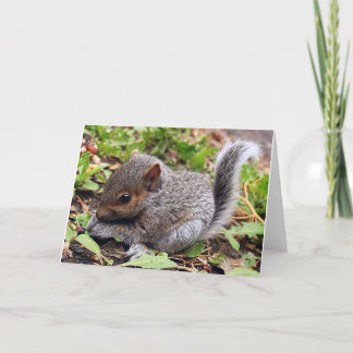 ベビー灰色 カード