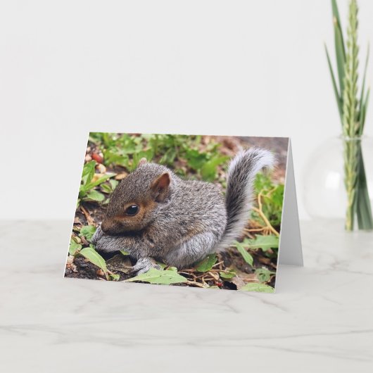 ベビー灰色 カード (正面)