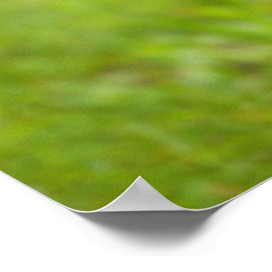 ベビー狼 ポスター (角)