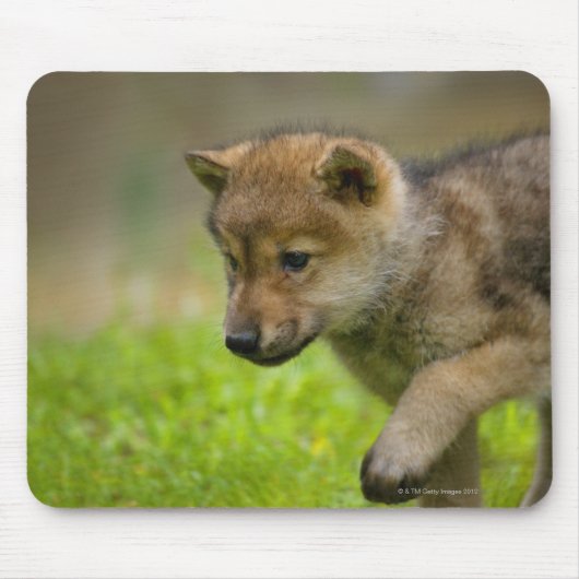 ベビー狼 マウスパッド (正面)