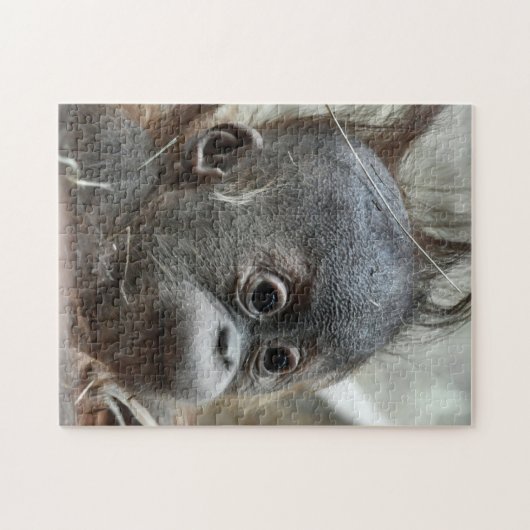 ベビー猿パズル ジグソーパズル (横)