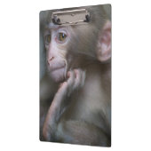 ベビー猿 クリップボード (左)
