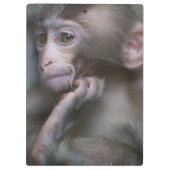 ベビー猿 クリップボード (裏面)