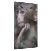 ベビー猿 クリップボード (右)