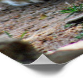 ベビー獅子子 ポスター (角)