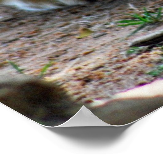 ベビー獅子子 ポスター (角)