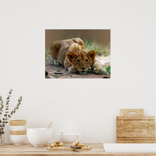 ベビー獅子子 ポスター (キッチン)