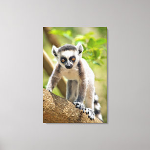 ベビー環形雑音 キャンバスプリント