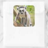 ベビー環形雑音 スクエアシール (バッグ)