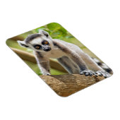 ベビー環形雑音 マグネット (右側)