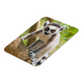 ベビー環形雑音 マグネット (左側)