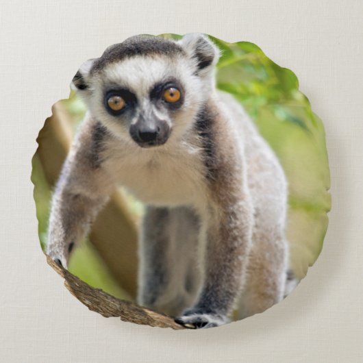 ベビー環形雑音 ラウンドクッション (正面)