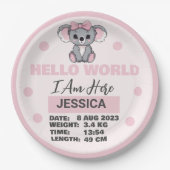 ベビー生まれ詳細 ペーパープレート (正面)