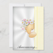 ベビー発表招待状 招待状 (正面)