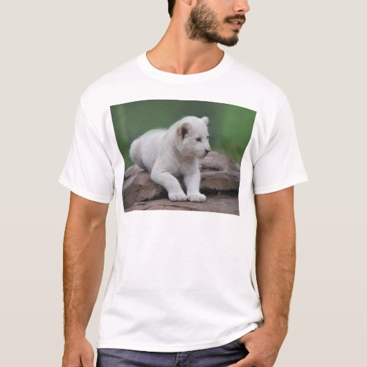 ベビー白ライオンの子2 Tシャツ (正面)