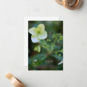 ベビー白花 ノートカード (正面/裏面インサイチュ)