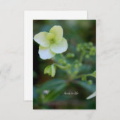 ベビー白花 ノートカード (正面/裏面)