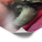 ベビー砂糖滑空機プリント フォトプリント            (角)