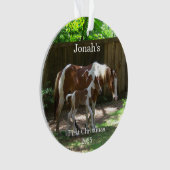 ベビー第1回クリスマスホースアクリルオーナメント オーナメント (正面)