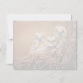 ベビー素晴らし角フクロウ野生生物写真 ノートカード (裏面)