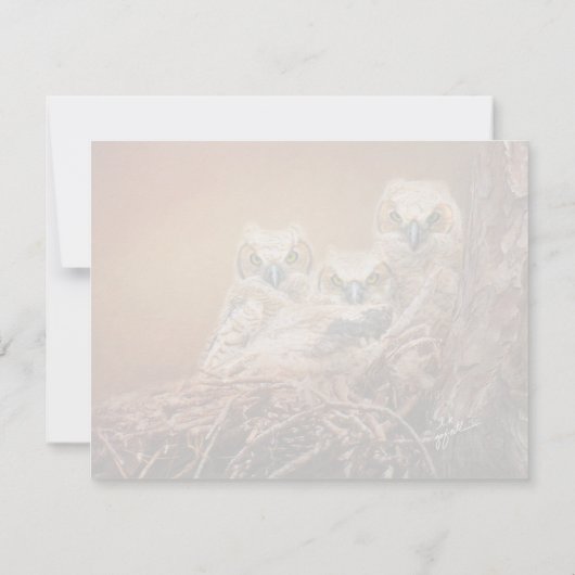 ベビー素晴らし角フクロウ野生生物写真 ノートカード (裏面)