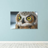 ベビー素晴らし角フクロウ キャンバスプリント (インサイチュ (ウッドフロア))