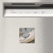 ベビー絵を描タートルマグネット マグネット (インサイチュ (食洗機))