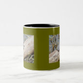 ベビー絵を描タートルマグ ツートーンマグカップ (中央)