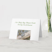 ベビー絵を描タートル新生児ボーイカード カード (裏面)