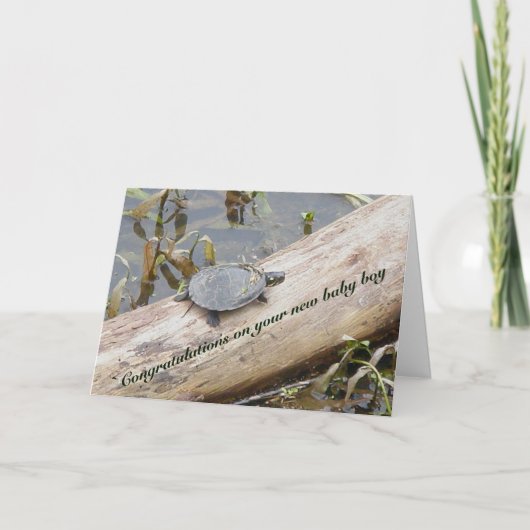 ベビー絵を描タートル新生児ボーイカード カード (正面)