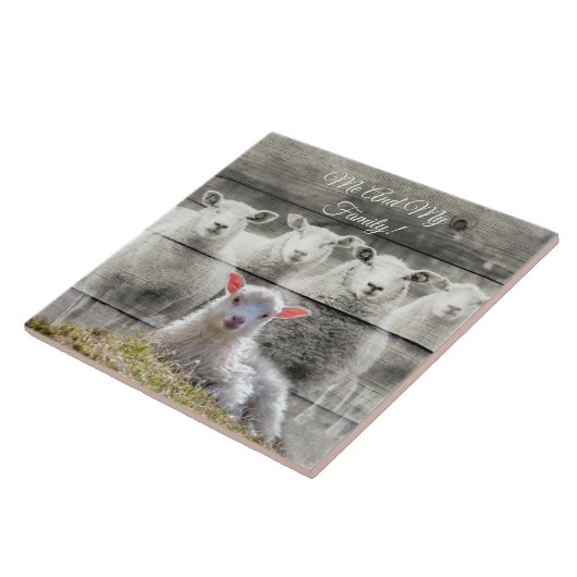 ベビー羊群 タイル (側面)