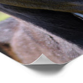 ベビー群 ポスター (角)