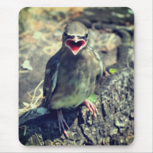 ベビー羽ばたき鳥自然 マウスパッド