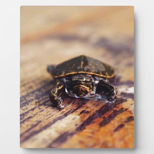 ベビー色彩の鮮やかの フォトプラーク (正面)