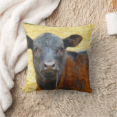 ベビー茶色と黒の牛 クッション (ブランケット)