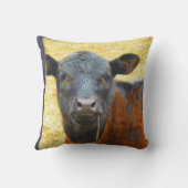 ベビー茶色と黒の牛 クッション (裏面)