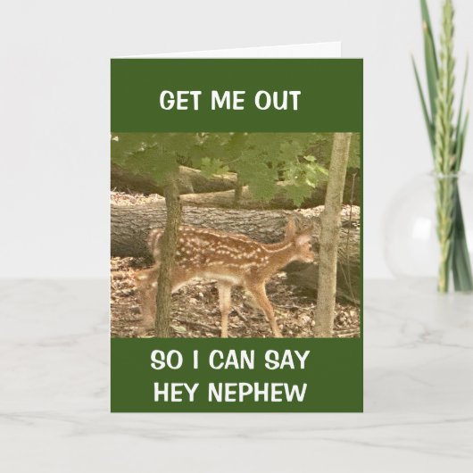 **ベビー親愛**ハッピーバースデー甥 カード (正面)