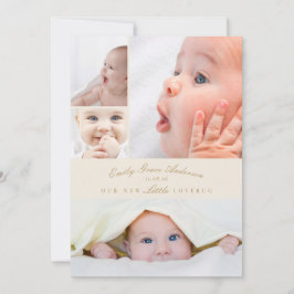 ベビー誕生のお知らせ5コラージュ小さなラブバグ シーズンカード