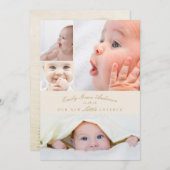 ベビー誕生のお知らせ5コラージュ小さなラブバグ シーズンカード (正面/裏面)