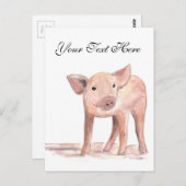 ベビー豚ぶた動物の水の色のファームかわいい ポストカード (正面/裏面)
